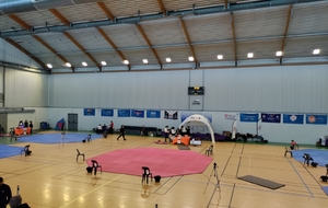 68ec1aae38ff5_1000023826.jpg
