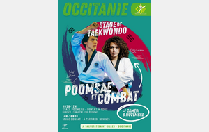 Stage taekwondo ligue occitanie 