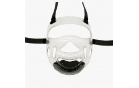 bulle pour casque